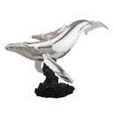 2512-Ballena-hijo3.webp