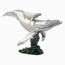 BALLENAS